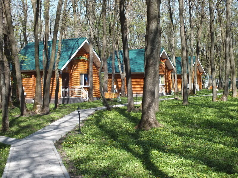 Егоркины горки, Воронежская область: фото 5