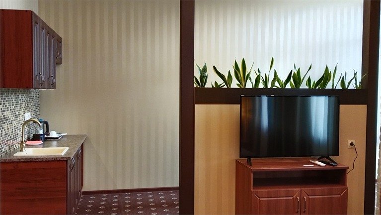 Апартаменты 2-местный 1-комнатный (с просторной спальней и балконом)