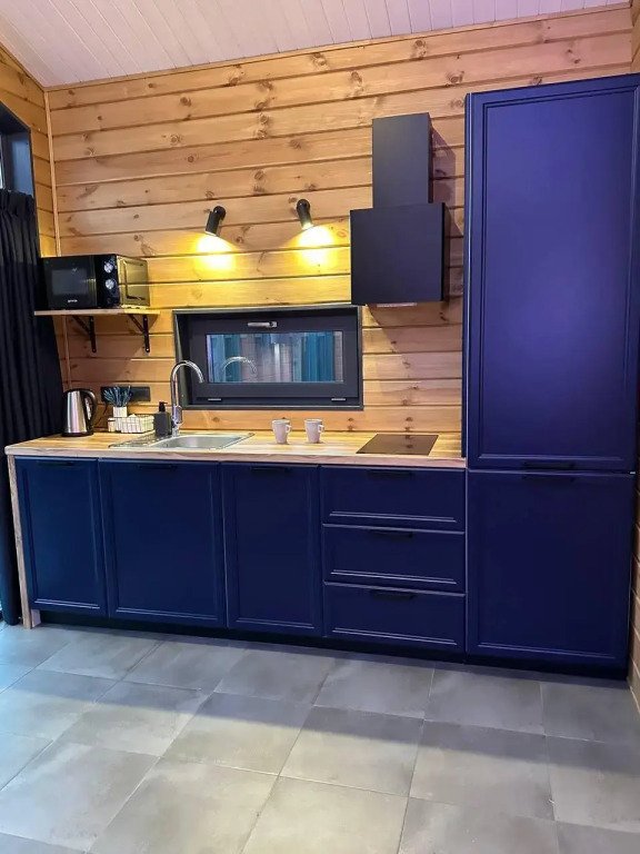 SEAGULL, Ленинградская область: фото 2