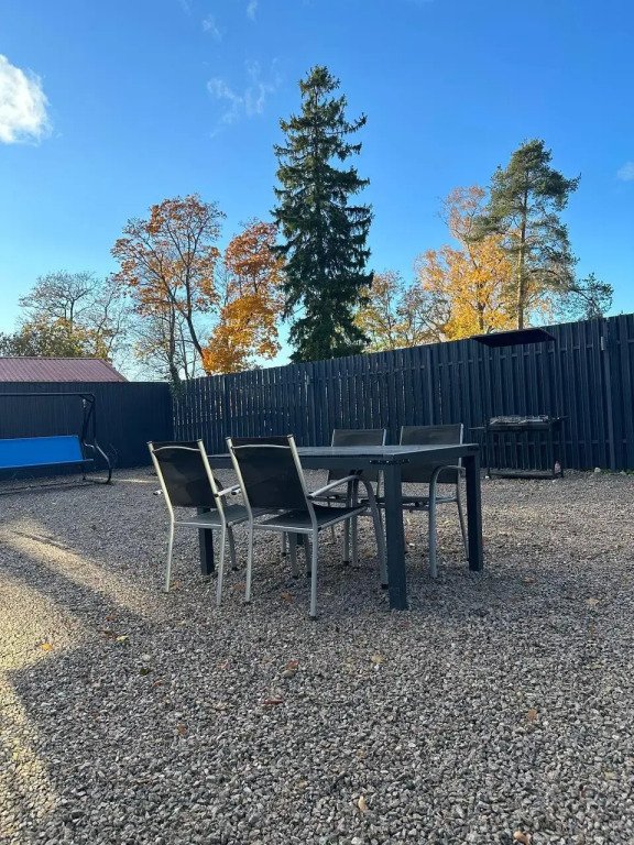 SEAGULL, Ленинградская область: фото 4