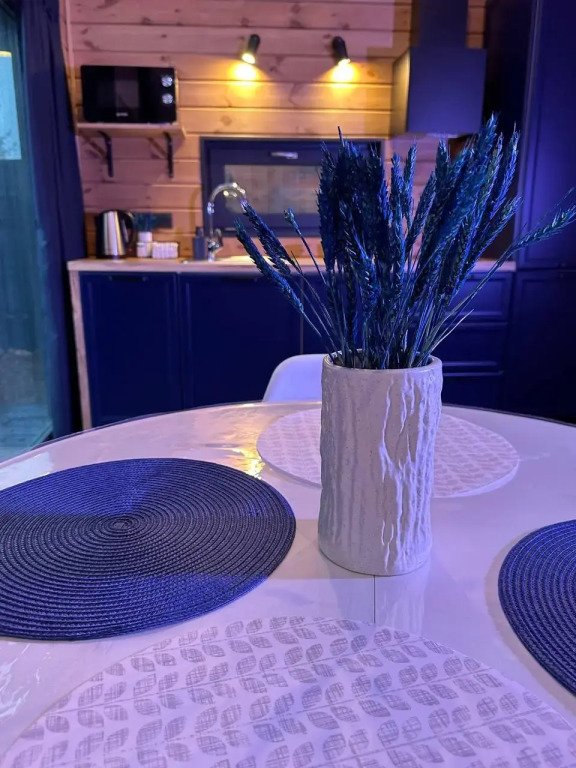 SEAGULL, Ленинградская область: фото 5