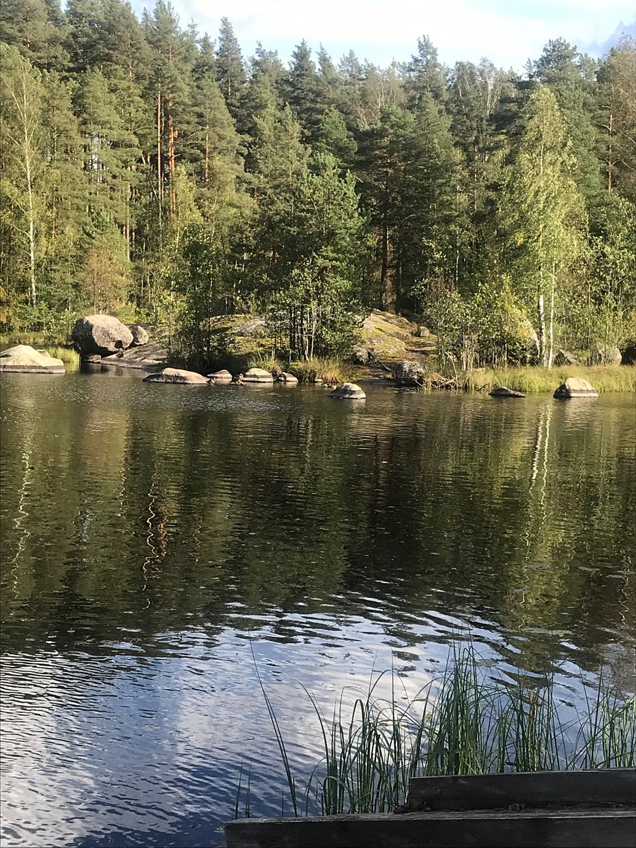 Фото 2 из отзыва о базе отдыха Васильево