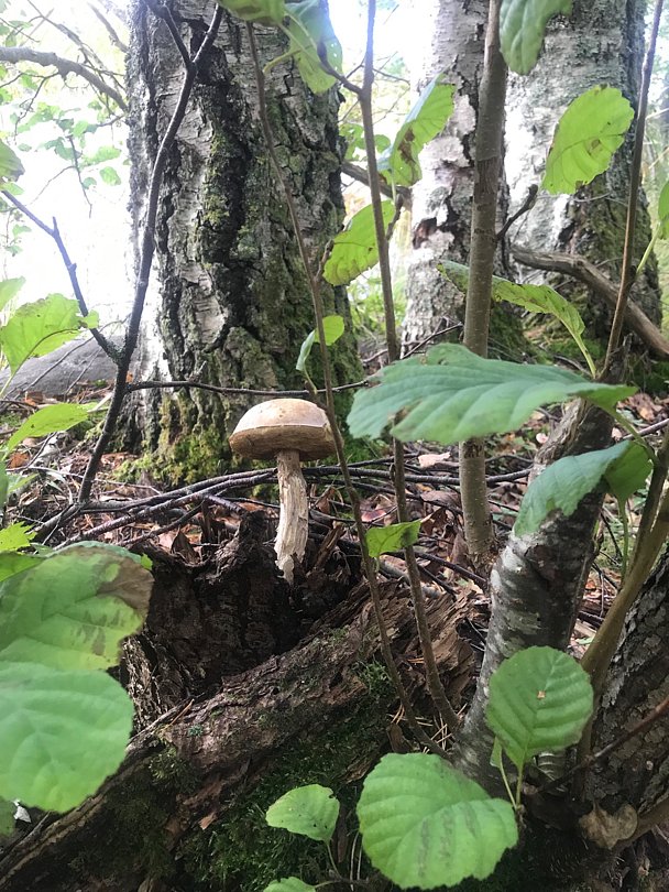 Фото 4 из отзыва о базе отдыха Васильево