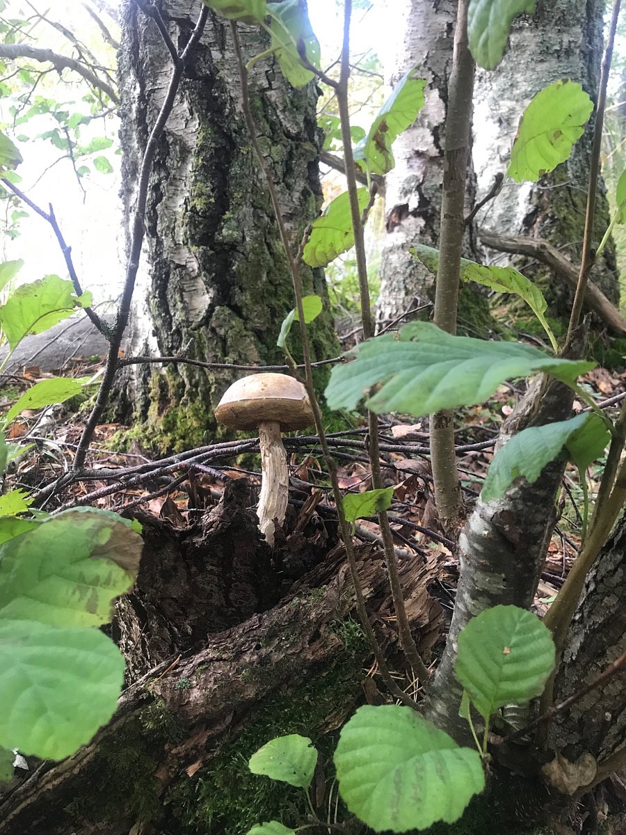 Фото 4 из отзыва о базе отдыха Васильево