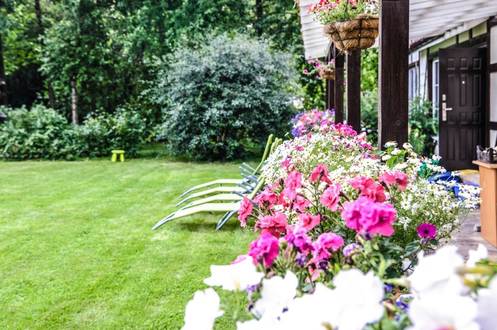 Гостевой дом F&F, Ленинградская область, Петергоф 