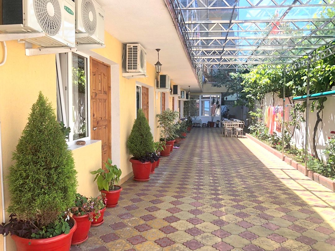 Территория | Дельфинчик, Краснодарский край