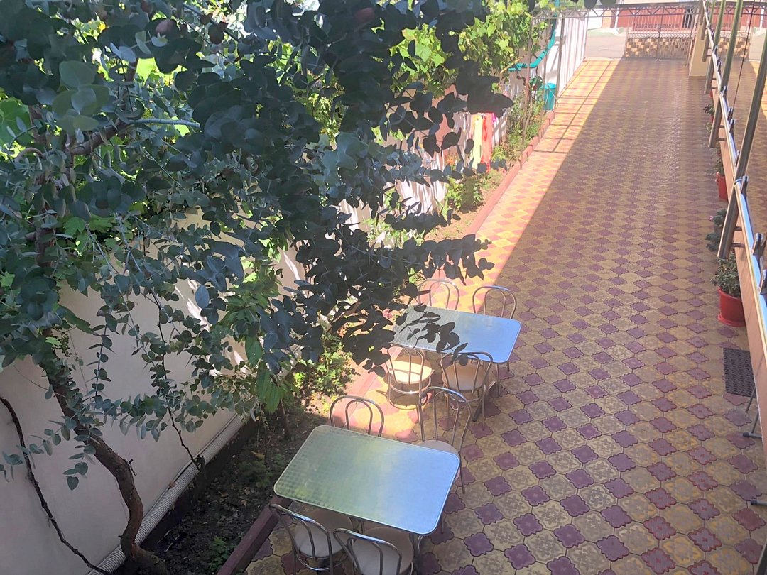 Территория | Дельфинчик, Краснодарский край