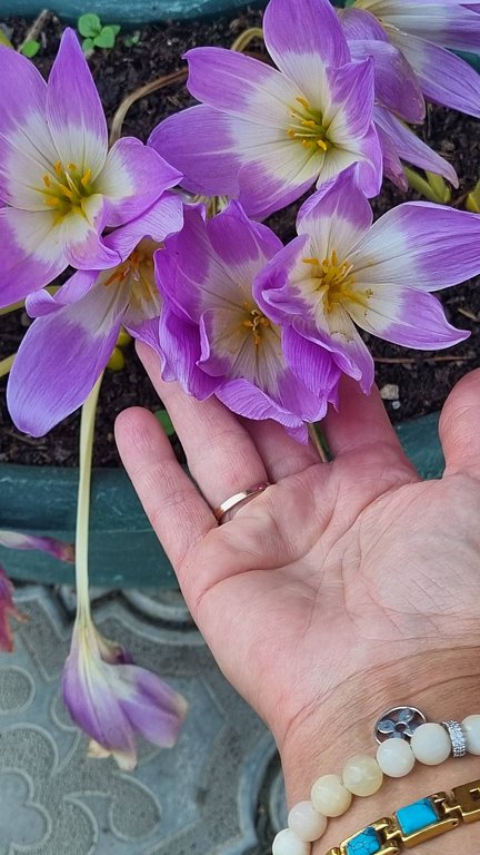 Фото из отзыва от 27.09.2025