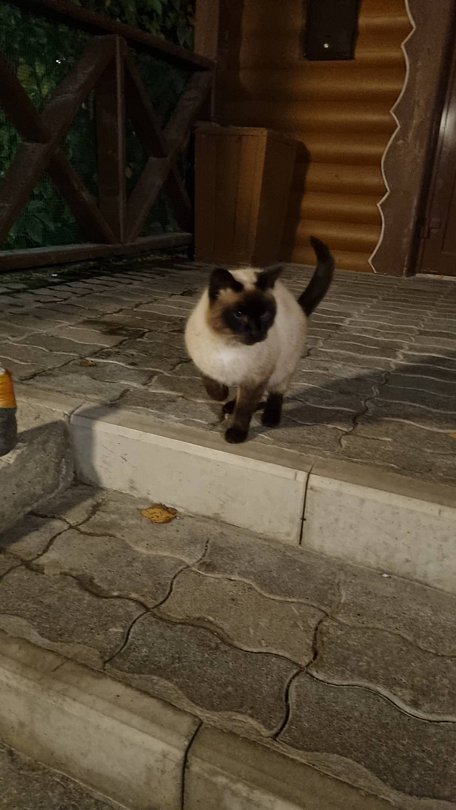 Фото 5 из отзыва о базе отдыха Асыл Ъяр