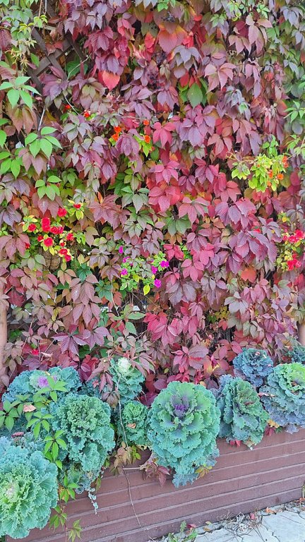 Фото из отзыва от 27.09.2025