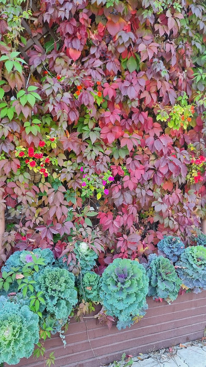 Фото 9 из отзыва о базе отдыха Асыл Ъяр