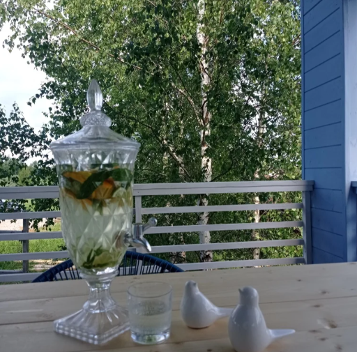 Nebesno-Goluboy Barn, Московская область: фото 5