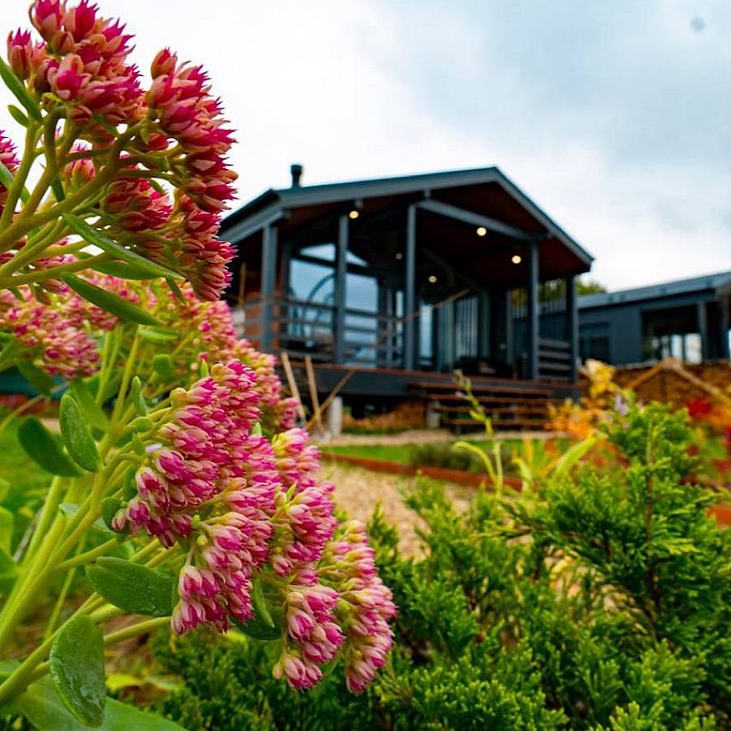 Коттедж 4-местный 2-местный (LATO-65 Plus)