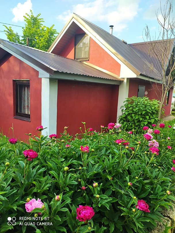 Атамань-на-Дону, Липецкая область: фото 4