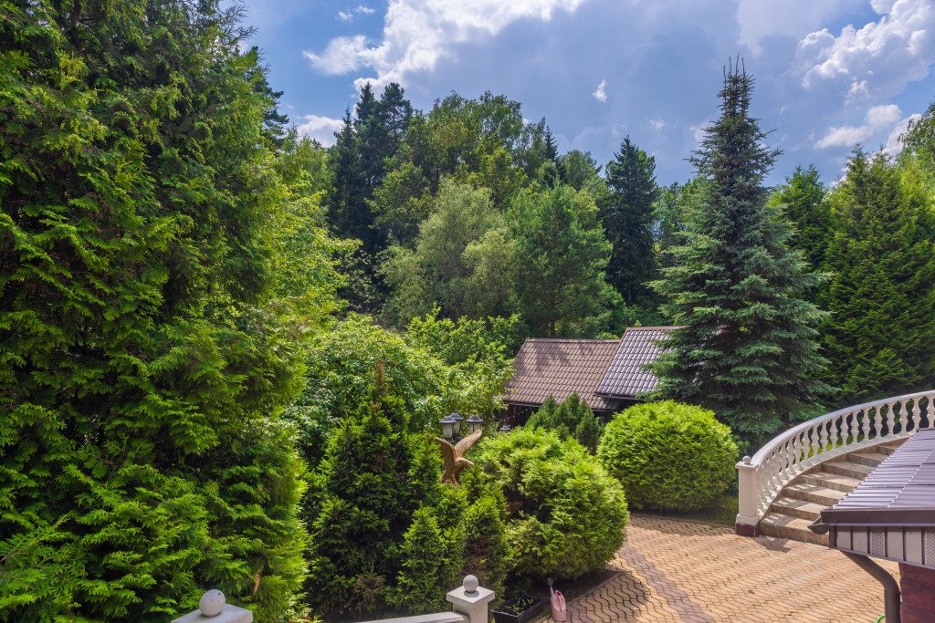 Коттедж Таганьково, Московская область: фото 2