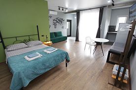 Апартамент  1-комнатный, Гостевой дом VIDA (Цандрипш), Цандрипш