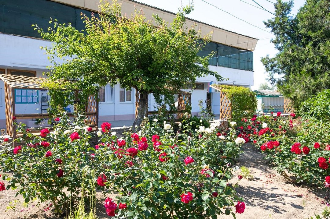 База отдыха Любимовка, Крым, Севастополь Симферополь село Андреевка Нахимовский район Балаклава Кача поселок Любимовка