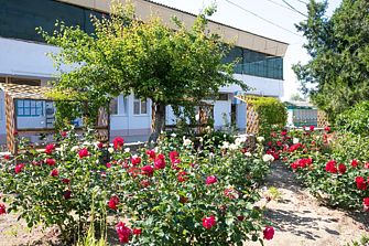 База отдыха Любимовка