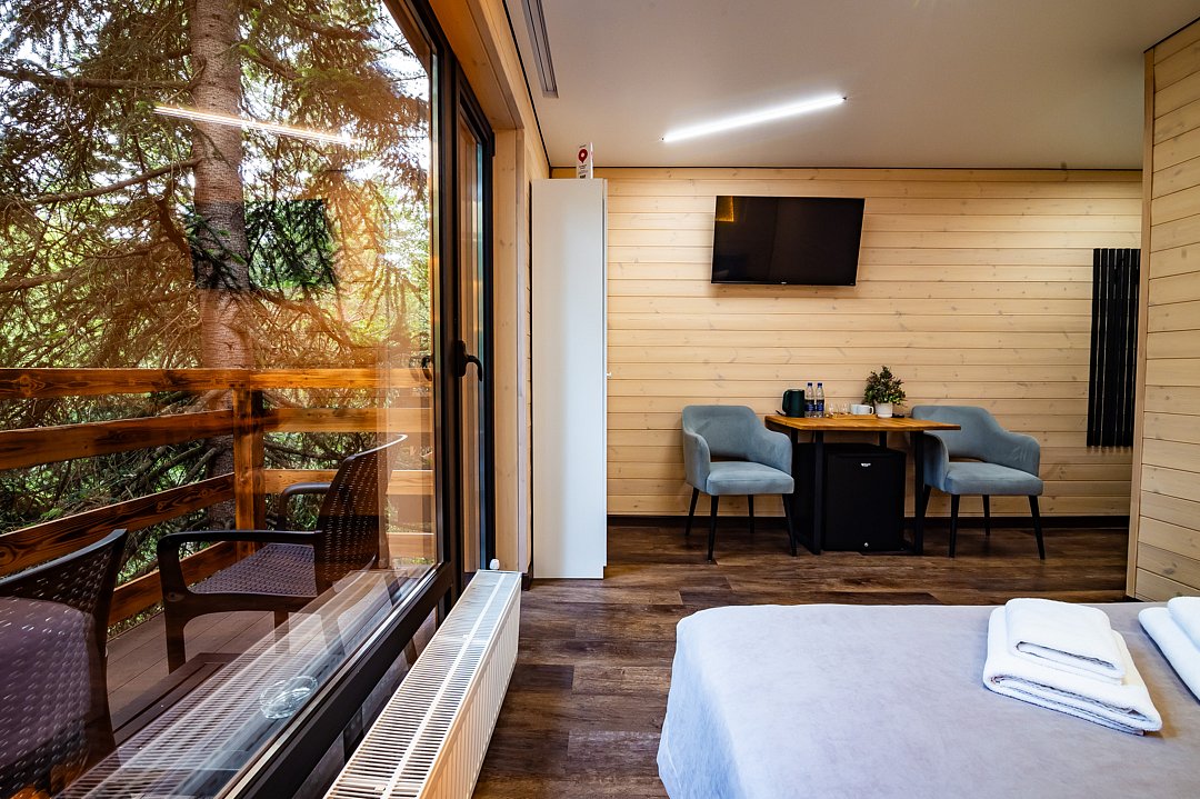 Стандартный 2-местный 1-комнатный (с балконом и видом на горы)