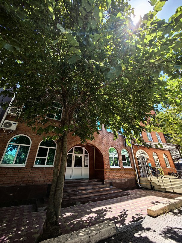 Внешний вид | Фарн, Краснодарский край