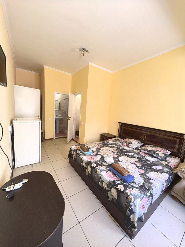 Стандартный 3-местный (двуспальная кровать и диван)