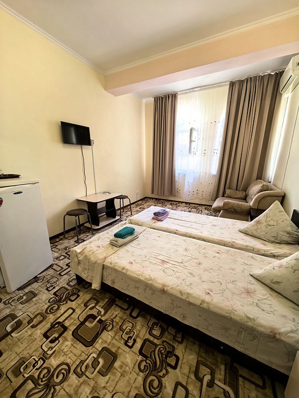 Стандартный 3-местный (двуспальная кровать и диван)