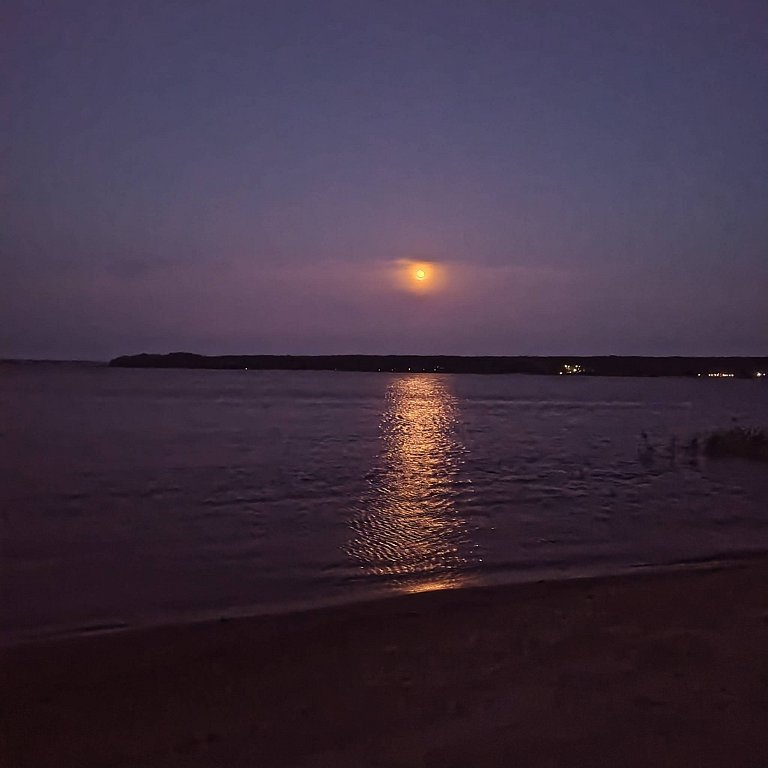 Фото из отзыва от 05.09.2025