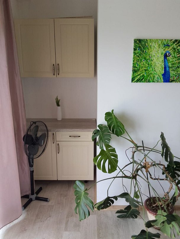 Люкс 2-местный 1-комнатный