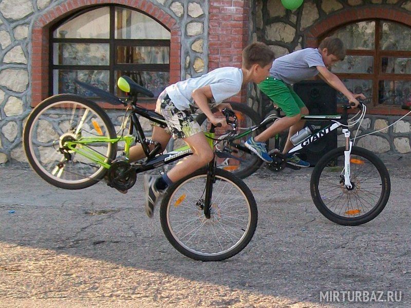 Наши таланты