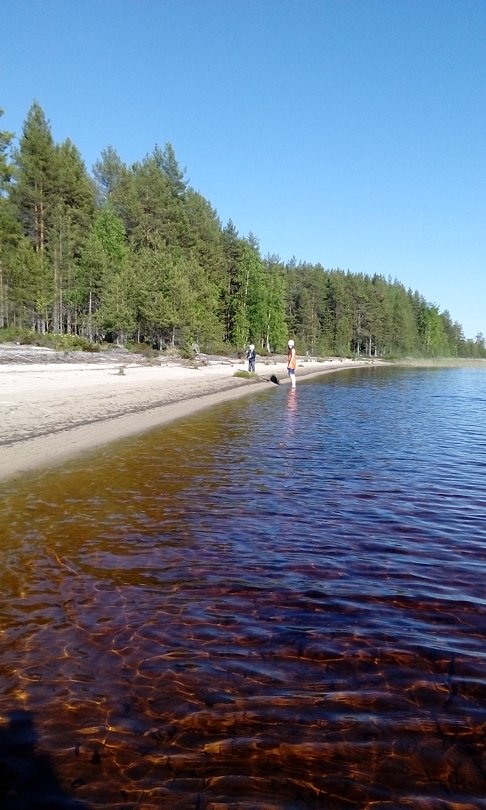 Каменка, Республика Карелия: фото 4