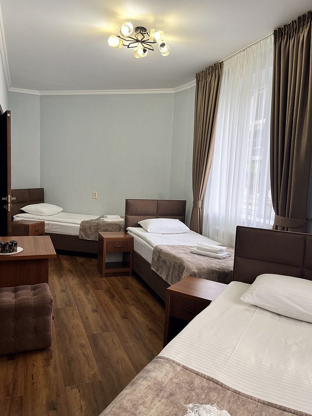 Делюкс 3-местный 1-комнатный