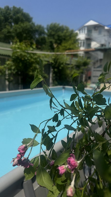 Территория | Гармония (Джемете), Краснодарский край