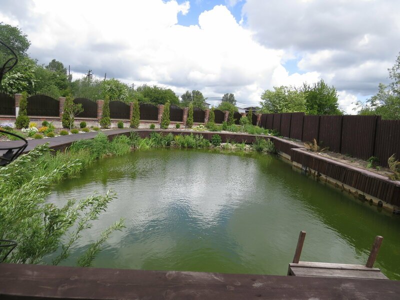 Гостевой дом-Баня , Калининградская область: фото 3