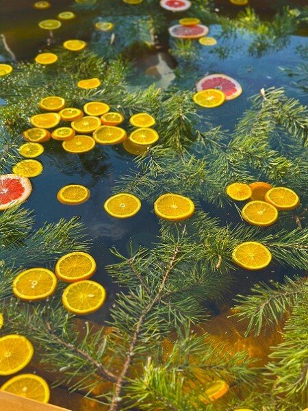 Дом 2-местный 1-комнатный (№4)