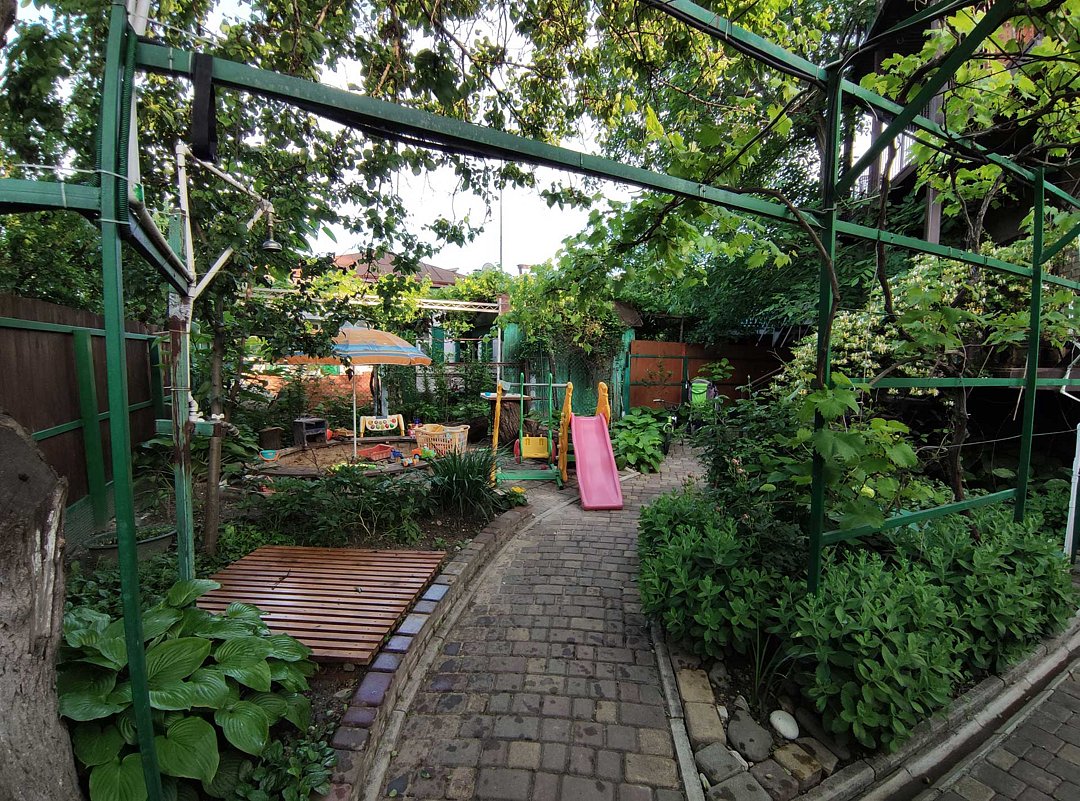 Абрикос, Краснодарский край: фото 4