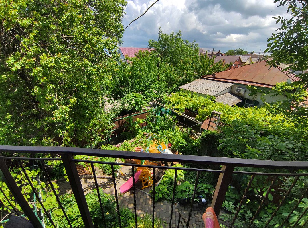 Абрикос, Краснодарский край: фото 3