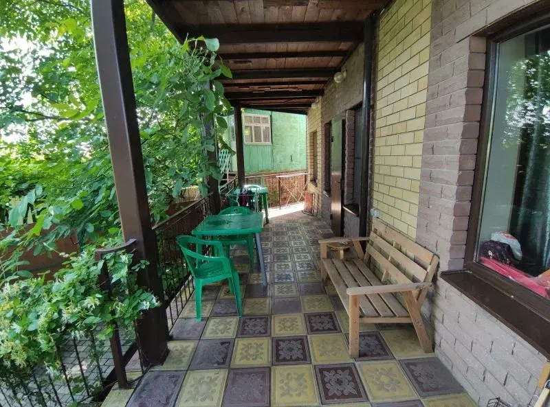 Абрикос, Краснодарский край: фото 5