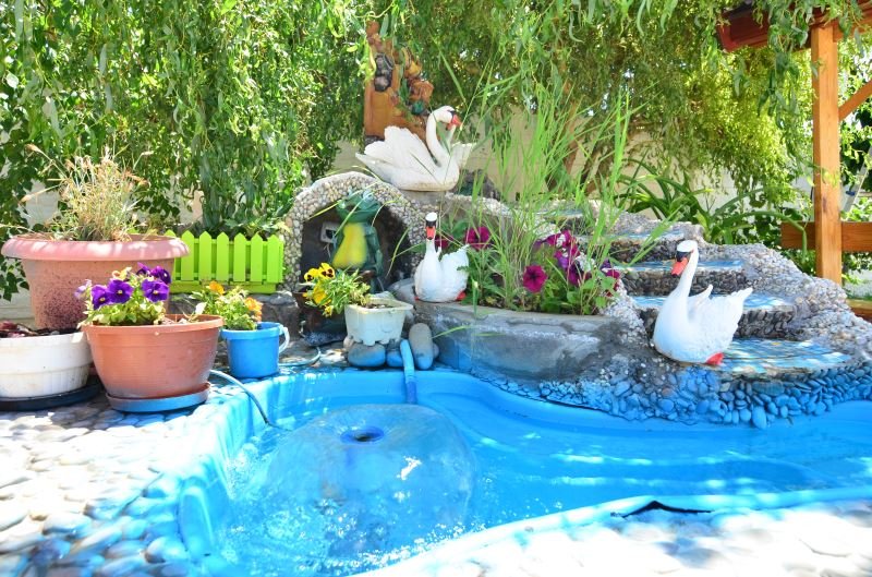 В гостях у Тихона, Крым: фото 3