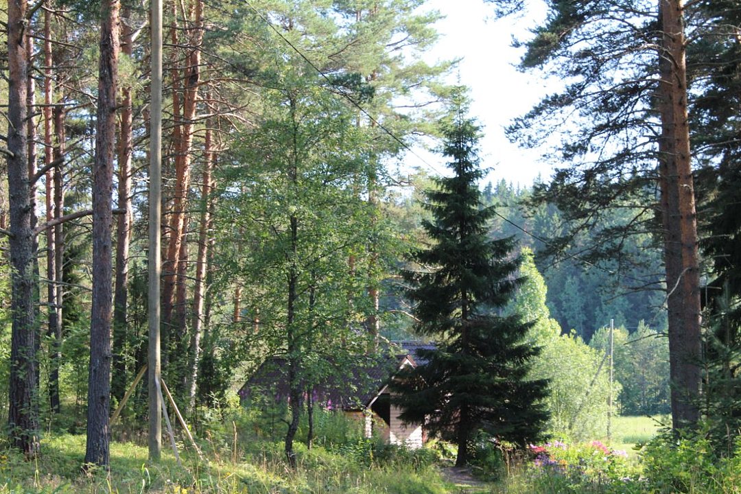 Берег Ладоги, Республика Карелия: фото 3