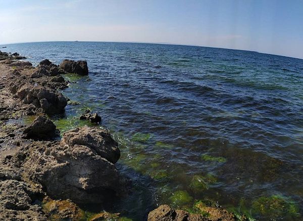 Таманский залив