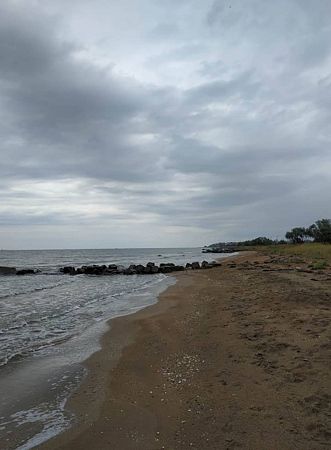 Таманский залив