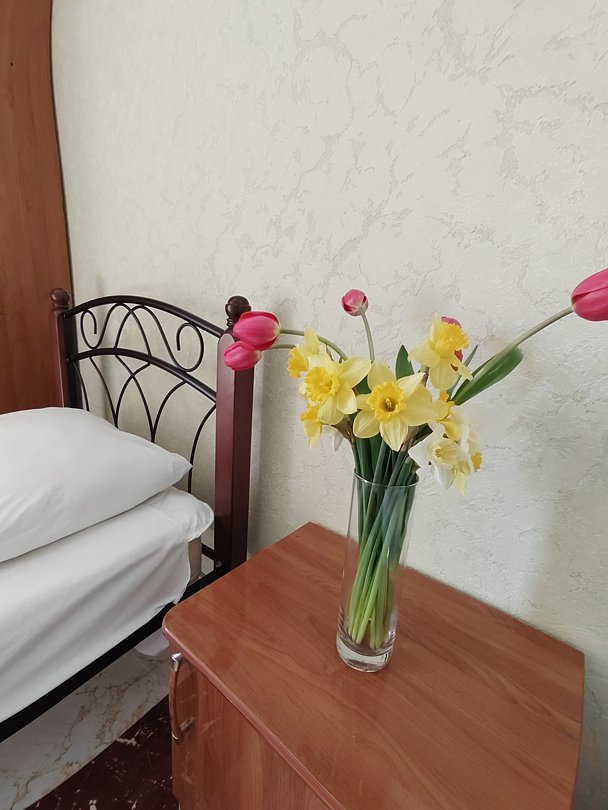 Стандартный 2-местный (TWIN)