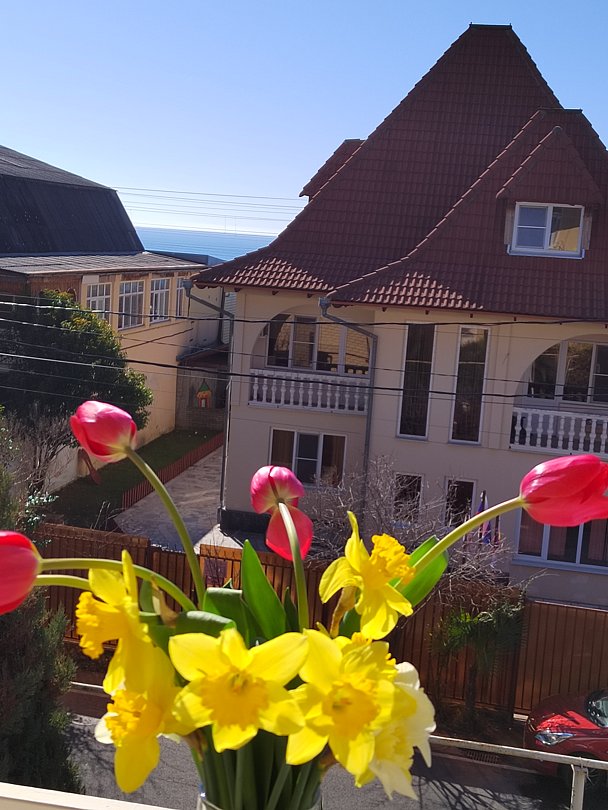 Стандартный 2-местный (TWIN)