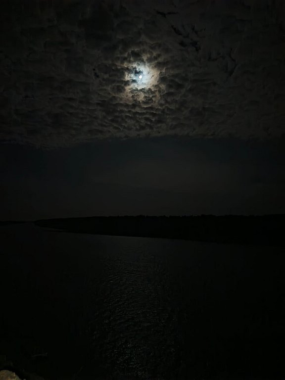 Фото из отзыва от 04.10.2025