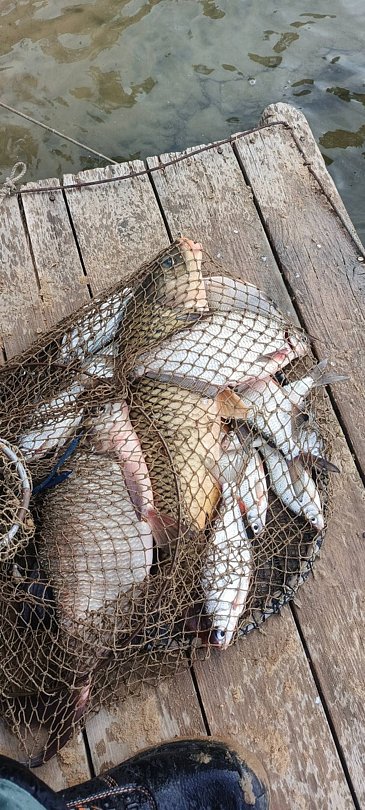 Фото 10 из отзыва о базе отдыха Место отдыха Берлога