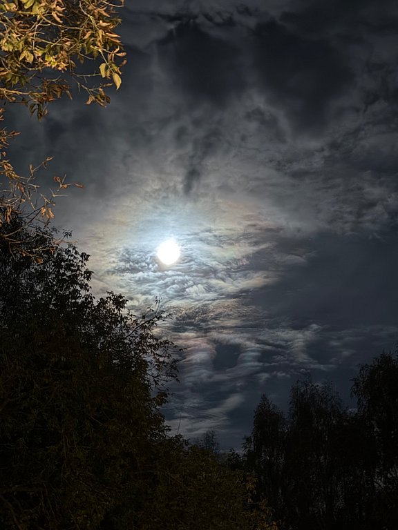 Фото из отзыва от 04.10.2025