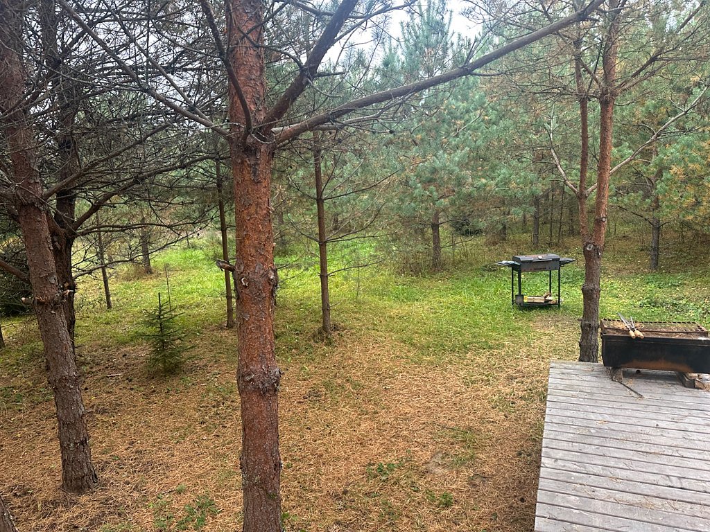 Фото из отзыва от 04.10.2025