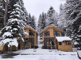 База отдыха Greenhouse 1599