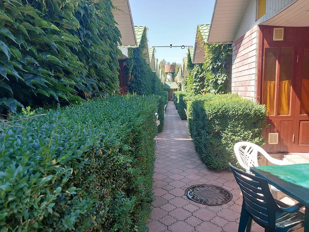 Гостевой дом Парадиз, Крым: фото 3