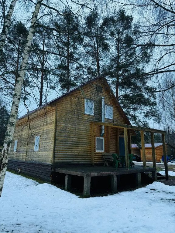 Коттеджи Eliza Home, Ленинградская область: фото 3